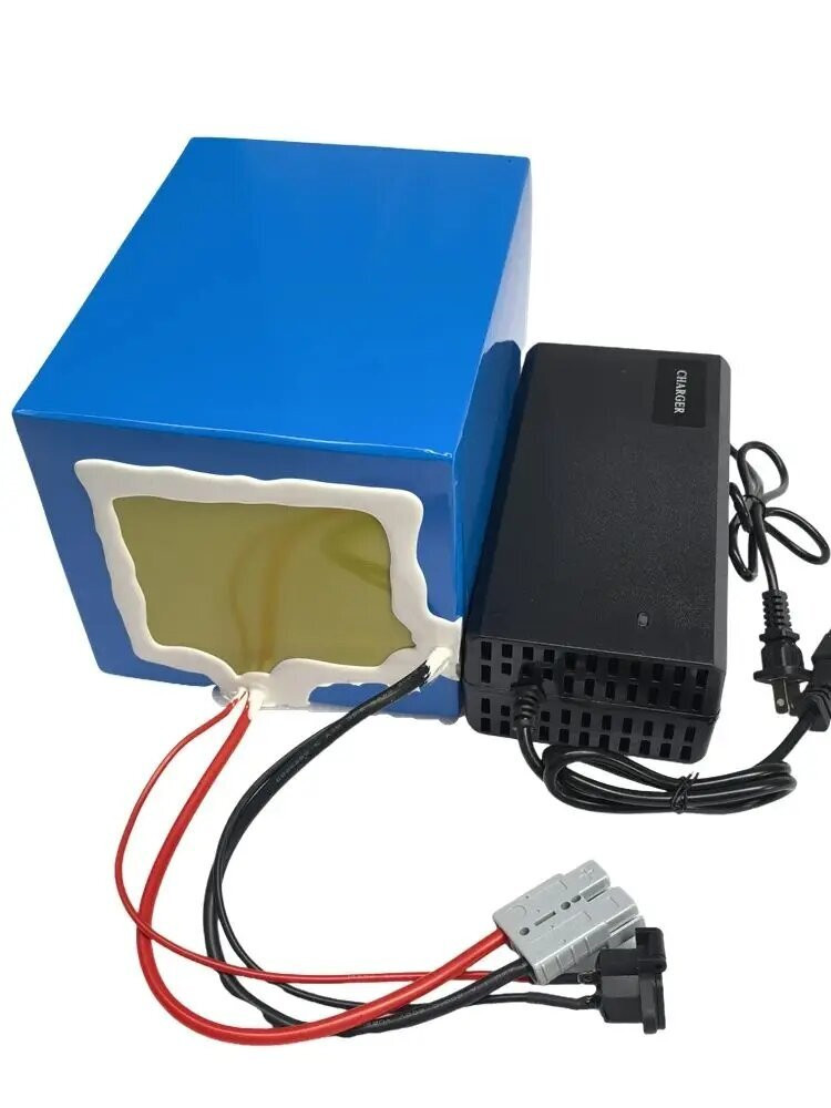 72V High Capacity Lithium Ion  - 72V 30Ah Lifepo4 Battery Pack review and price